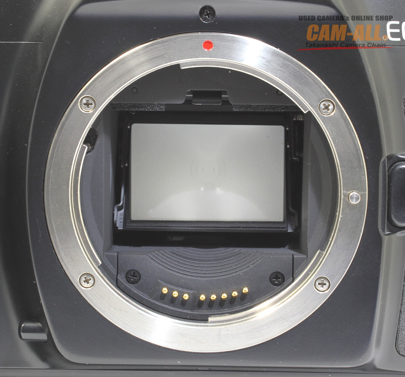 中古 キヤノン EOS-1 HS(ネーム入り) フィルム一眼レフ