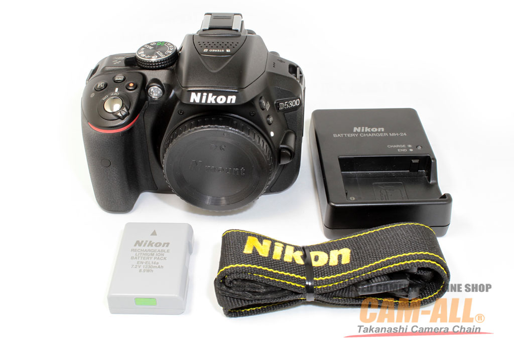 特注NIKON D5300 ボディ　デジタル一眼レフカメラ デジタルカメラ